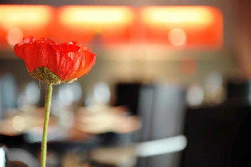 Mercure Hotel Brussels Airport Diegem Esterno foto